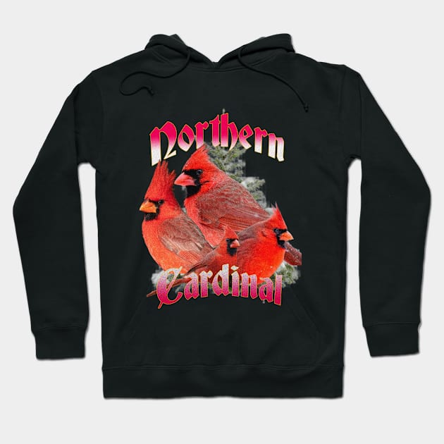 Its all about the Cardinals Hoodie by Birds of SLAY